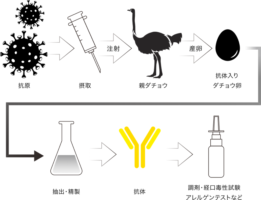 CORONA PROTECTION / ダチョウ抗体鼻腔スプレーとは