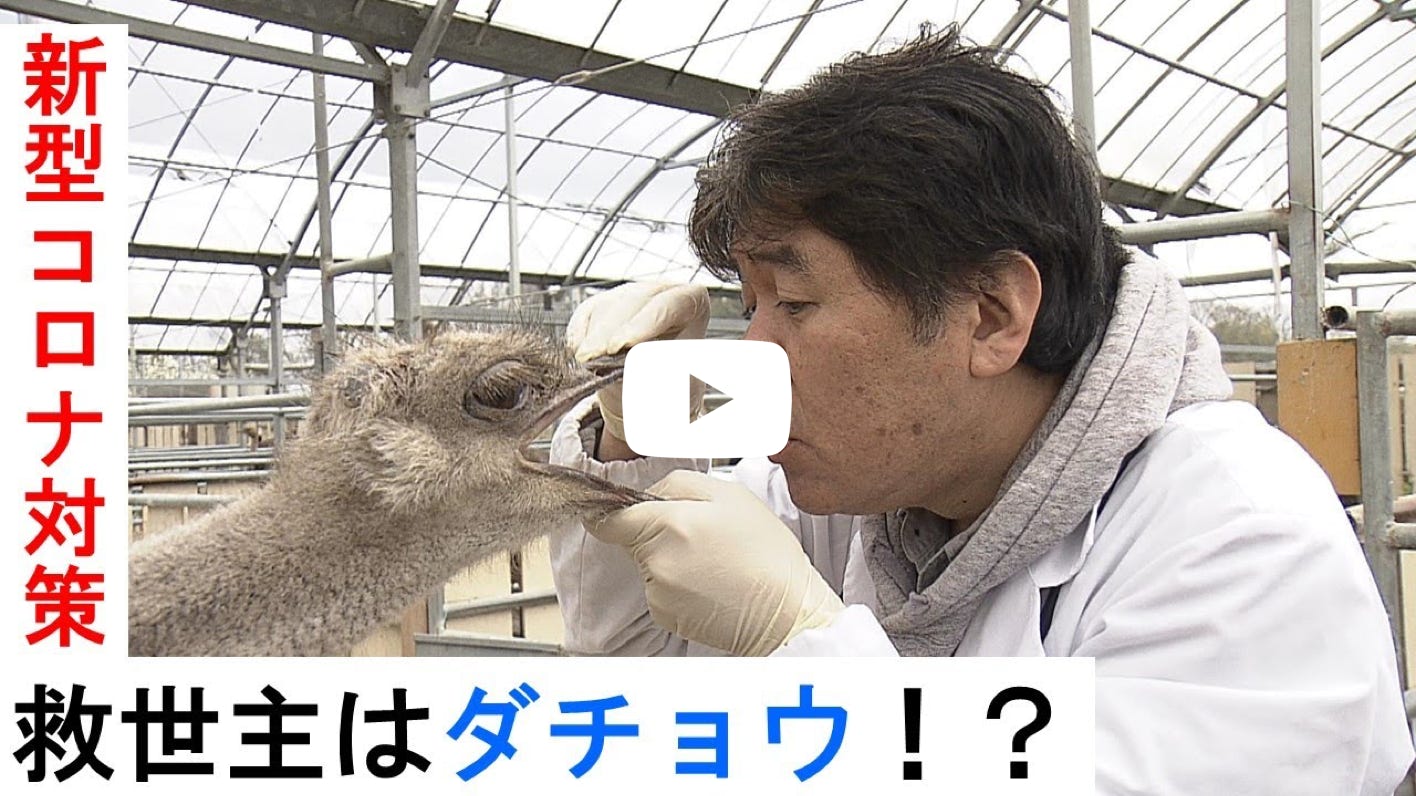 ビデオ ビデオ